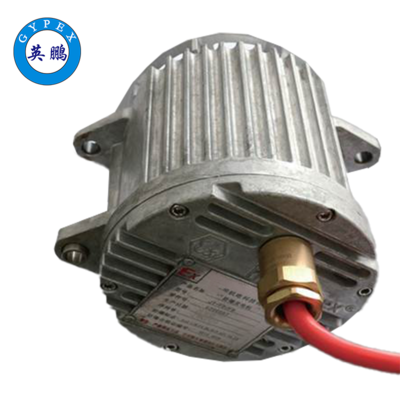 防爆發(fā)電機(jī)